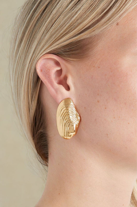 Sea Shell Earring